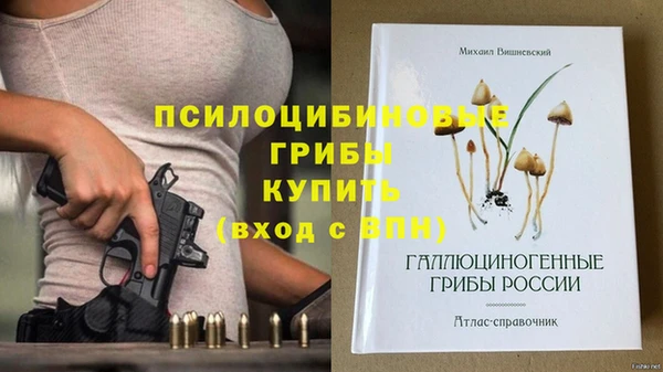 бошки Алексеевка