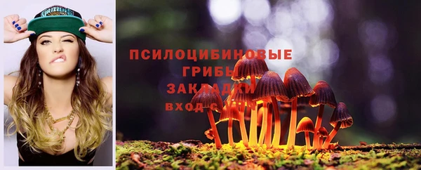 бошки Алексеевка