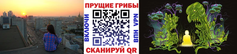 Купить  Талица  Псилоцибиновые грибы Magic Shrooms 